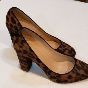 Crew Leopard Pumps  size 6.5